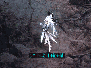 雀羽惊鸿