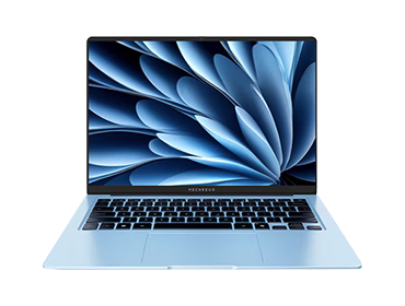 机械革命星耀14轻薄游戏本锐龙AI 32+1T