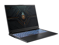 神舟战神T8 i7-13650HX 16+1TB RTX5060