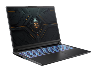 神舟战神T8 i7-13650HX 16+1TB RTX5060