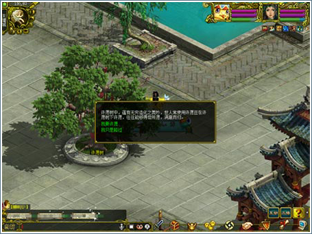 宠物对战内容