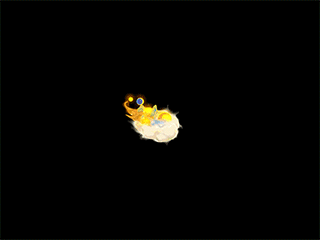 精怪