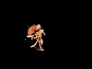 荷影清涟绛雪·男