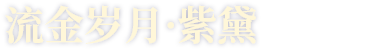 流金岁月·紫黛